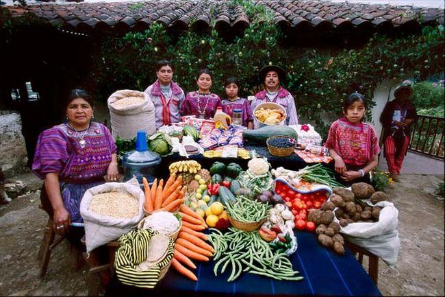 Famílias e comida (19)