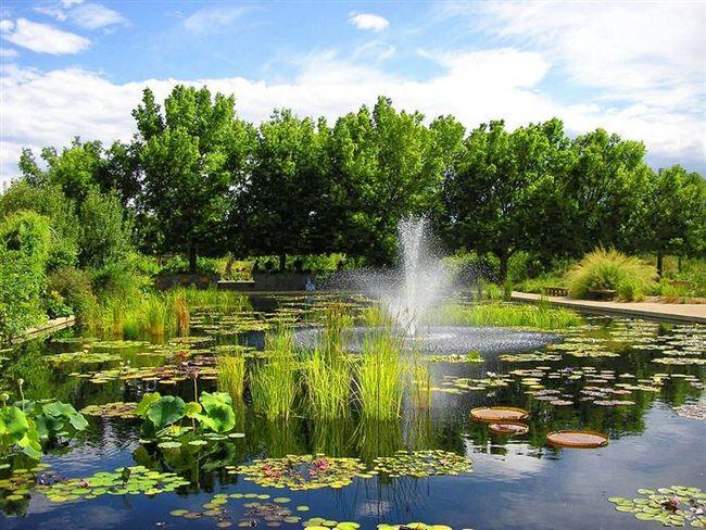 Jardins Botânicos (12)