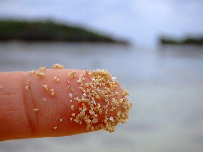 Praia Ilha Iriomote (6)