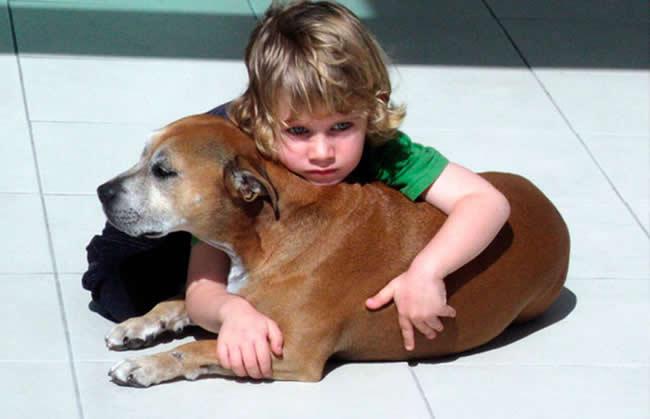 Falaram para esse garoto que seu cão morreria em breve… sua resposta deixou todos de queixo caído