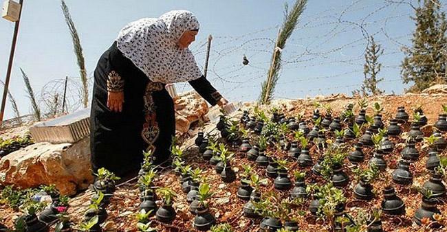 Mulher quer paz na Palestina e ESTE foi o jeito que ela encontrou para pedir por isso