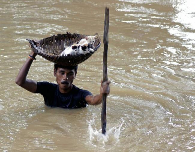 Restaurar fé na humanidade (11)