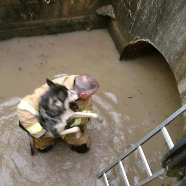 Restaurar fé na humanidade (34)