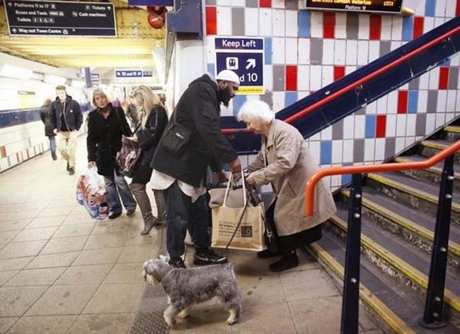 Restaurar fé na humanidade (67)