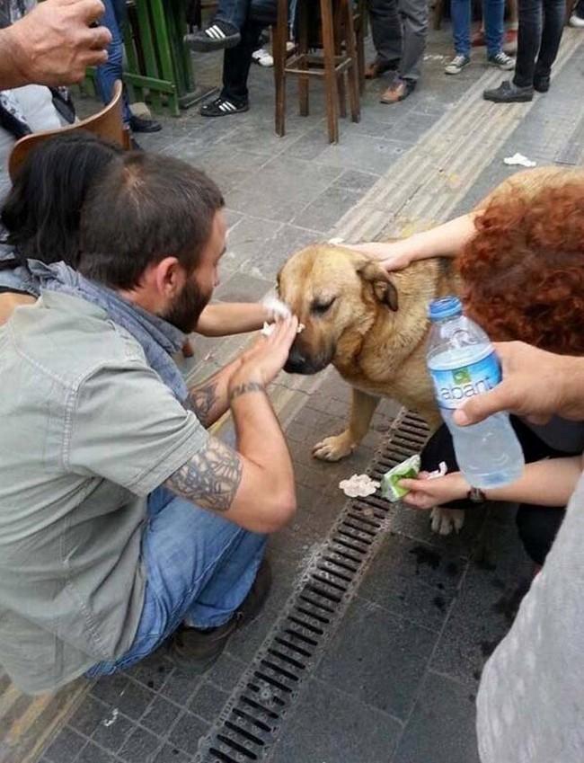 Restaurar fé na humanidade (93)