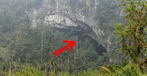 Fazendeiro descobriu uma caverna intocada no meio da floresta – o interior ainda impressiona quem vê