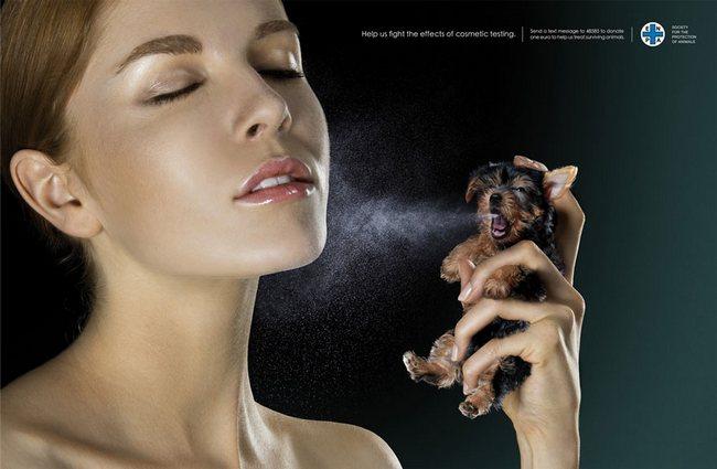 awebic-campanha-publicitaria-animais-10