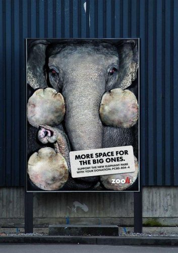 awebic-campanha-publicitaria-animais-12