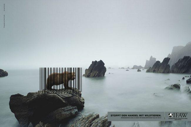 awebic-campanha-publicitaria-animais-26