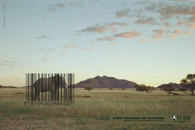 awebic-campanha-publicitaria-animais-27