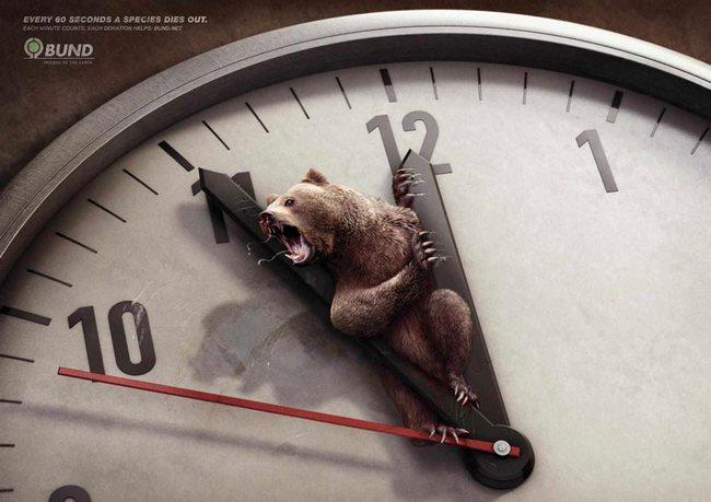 awebic-campanha-publicitaria-animais-3