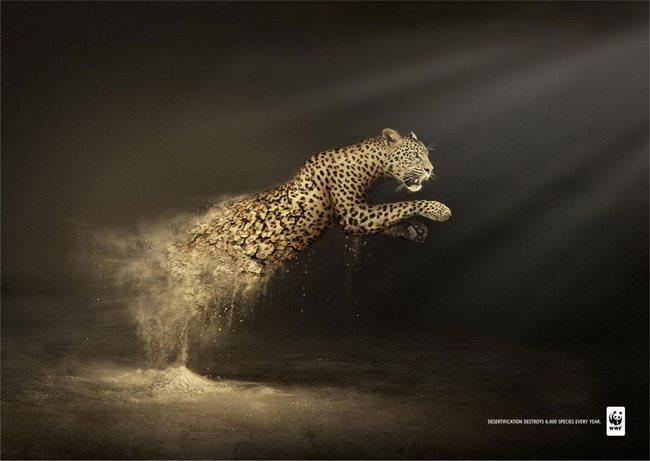 awebic-campanha-publicitaria-animais-41