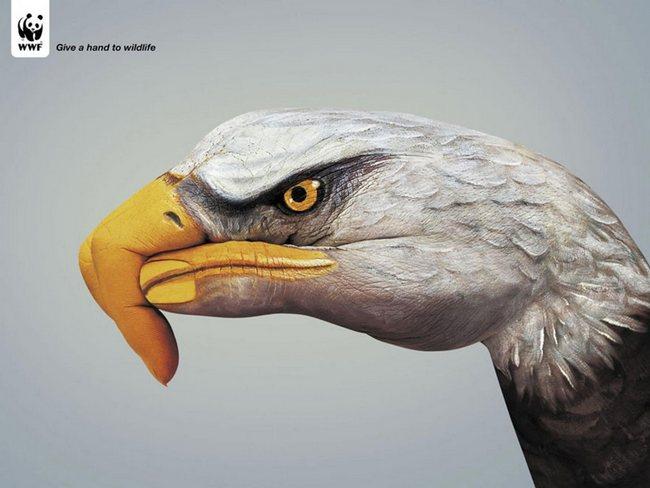 awebic-campanha-publicitaria-animais-44