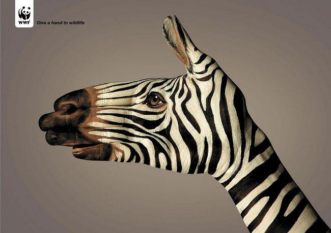 awebic-campanha-publicitaria-animais-45