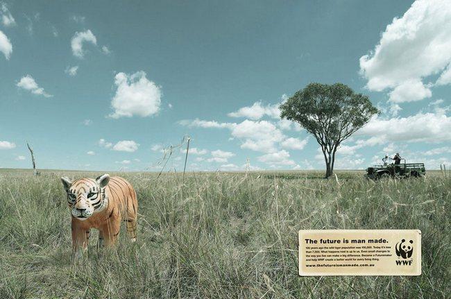 awebic-campanha-publicitaria-animais-46