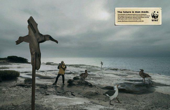 awebic-campanha-publicitaria-animais-47