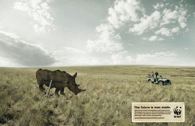 awebic-campanha-publicitaria-animais-48