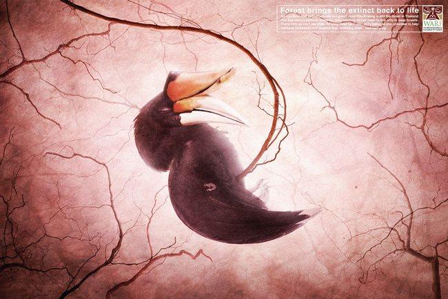 awebic-campanha-publicitaria-animais-57