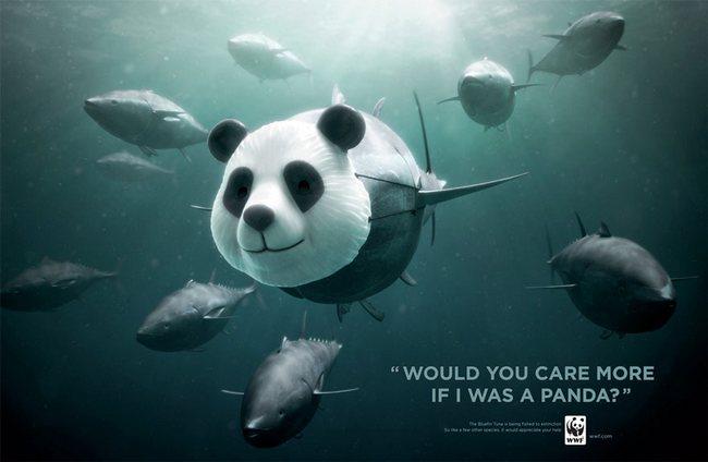 awebic-campanha-publicitaria-animais-62