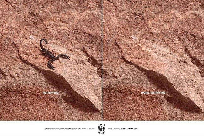 awebic-campanha-publicitaria-animais-8