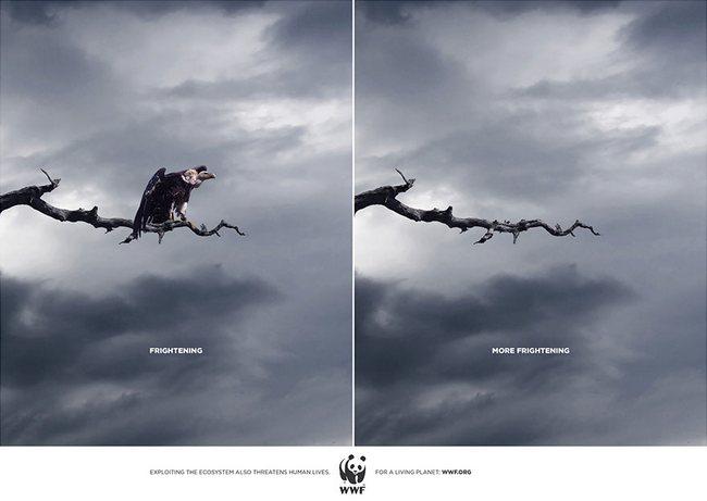 awebic-campanha-publicitaria-animais-9