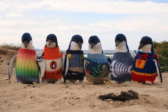 awebic-casaquinhos-pinguins-1