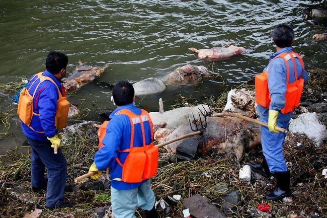 awebic-poluicao-ambiental-34