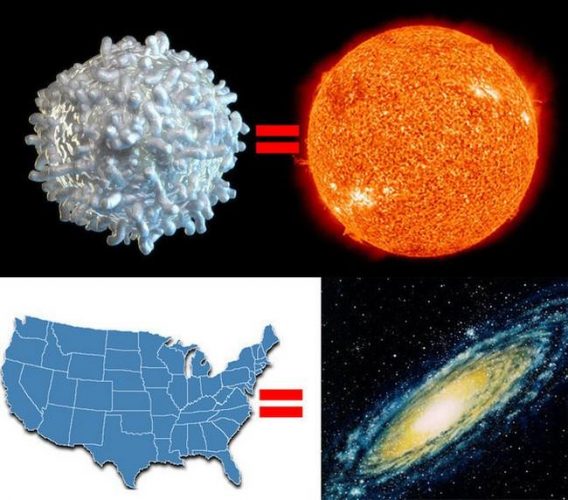 awebic-repensar-existencia-humana-18