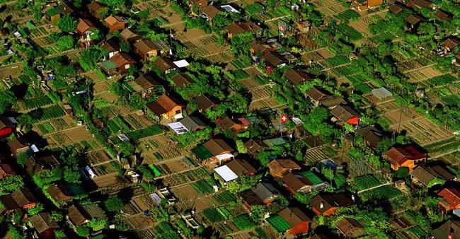 Bairro suíço cria horta comunitária e cada morador planta um alimento para compartilhar com outros