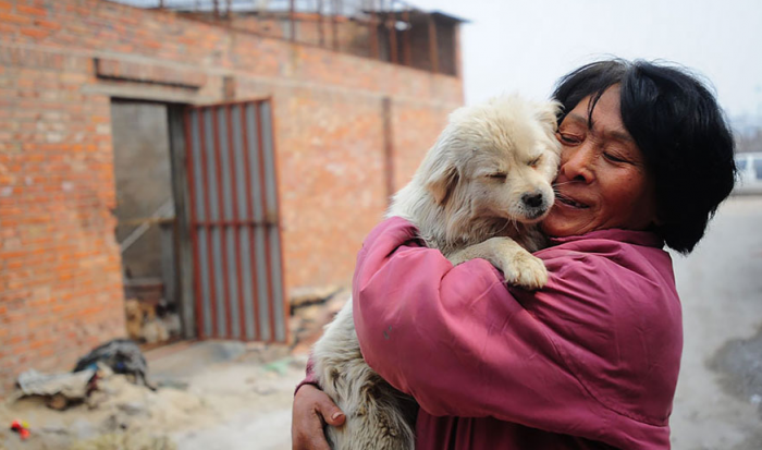 Yang com cachorro salvo