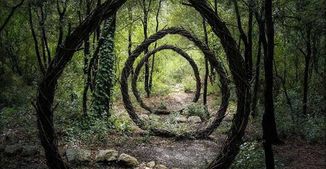 Após passar um ano em floresta, artista cria obras de arte de um jeito que você nunca imaginou.