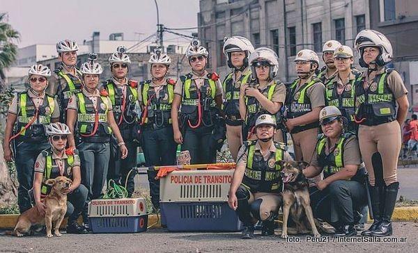 O que esse grupo de policiais está fazendo nas ruas de Lima por animais abandonados vai te emocionar