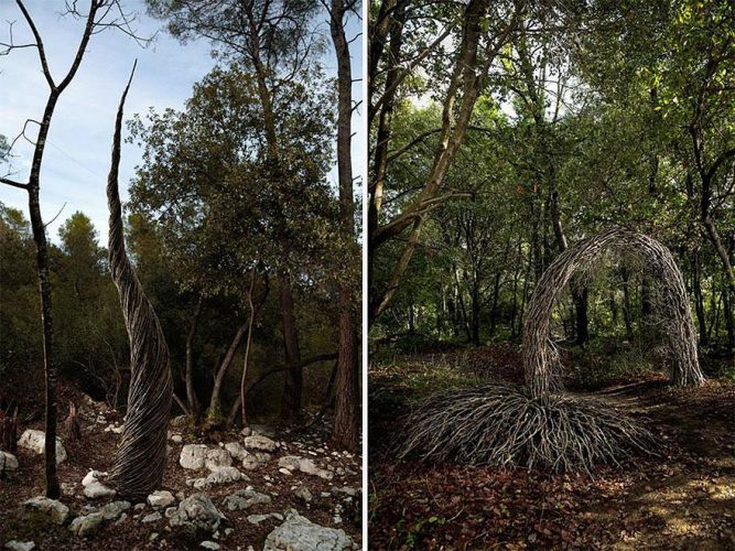 Esculturas feitas de matéria prima da própria floresta.