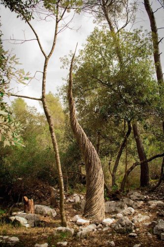 Esculturas feitas de matéria prima da própria floresta.