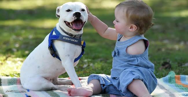 Menina nasce sem um dos braços e ganha cachorro com 3 patas. Amizade entre eles é impressionante!