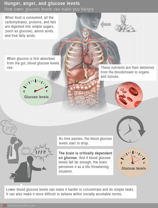 Explicação do sistema digestivo para a fome.