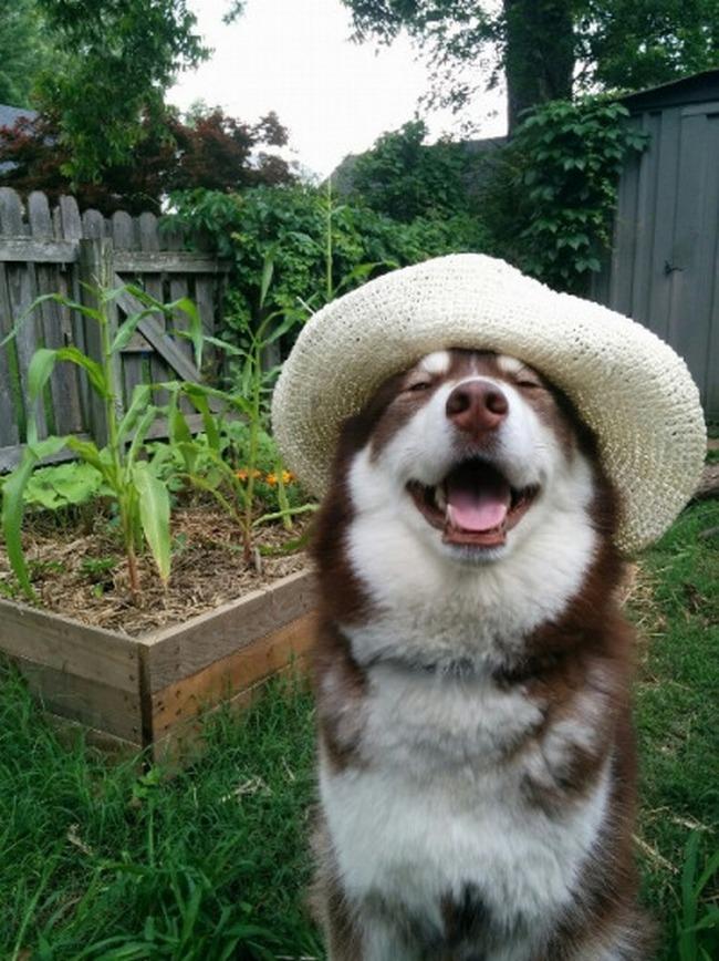 Não há nada que dê mais prazer a ele do que cuidar das plantinhas. (Entende-se por: devorar todas elas assim que o papai e a mamãe saírem de casa.)