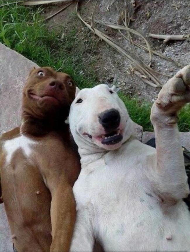 Selfies com os amigos são sempre divertidas. Quando a selfie bomba na internet fica melhor ainda... diz aí se você não lembrou das fotos que você tira com sua melhor amiga(o).