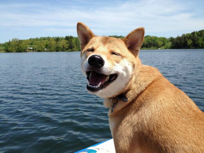 Porque é assim que a vida deveria ser. Todos os dias. Sol, natureza e um passeio de barco com seus melhores amigos.