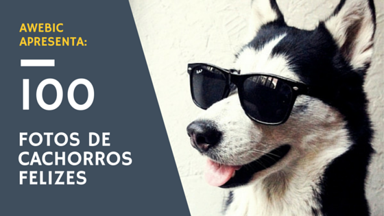 (Capa) 100 fotos de cachorros felizes