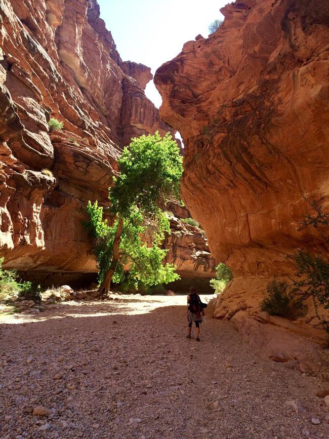 cachoeira-grand-canyon