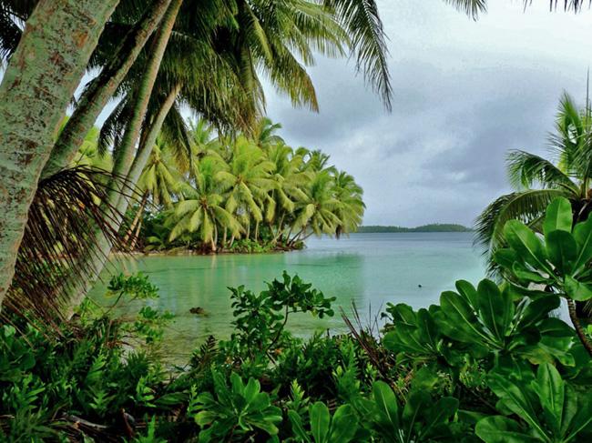 Palmyra Atoll