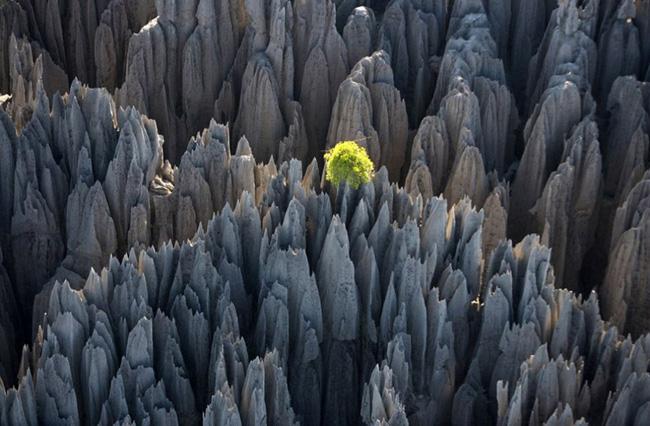 Tsingy de Bemaraha_the stone forest of Madagascar