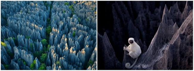 Tsingy de Bemaraha_the stone forest of Madagascar2