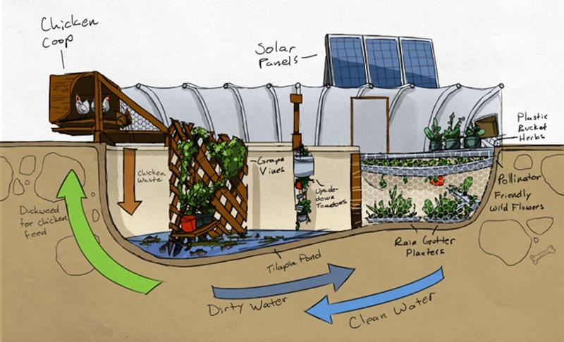 aprenda-cultivar-alimentos-dentro-piscina-garden-pool