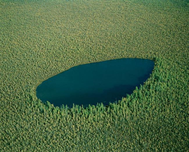 the forest lake - russia