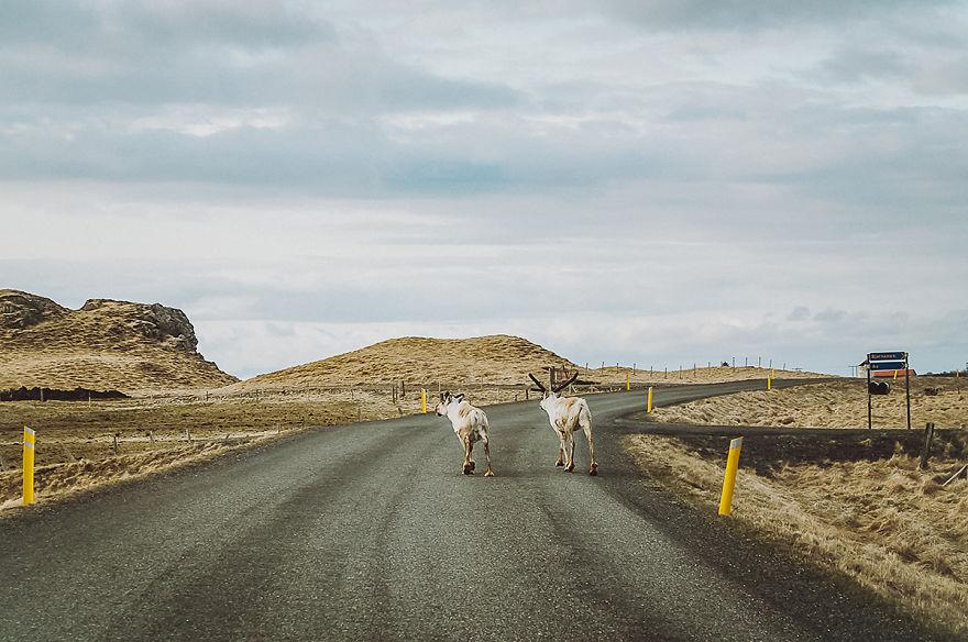 ive-been-capturing-icelandic-roads-for-16-months-6__880