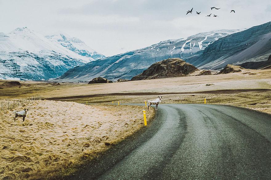 ive-been-capturing-icelandic-roads-for-16-months__880