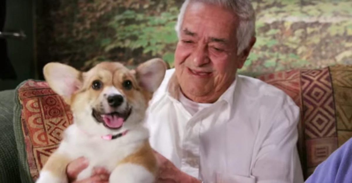 Filhotes de cachorros invadiram uma pré-escola, uma academia e um asilo. O resultado é emocionante.