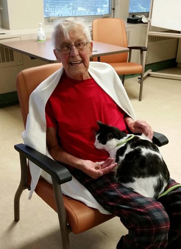 hospital-pets-allowed-animal-therapy-zacharys-paws-for-healing-juravinski-2